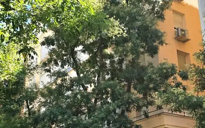 Piso en  Calle de Guzmán el Bueno 68 - Foto 16