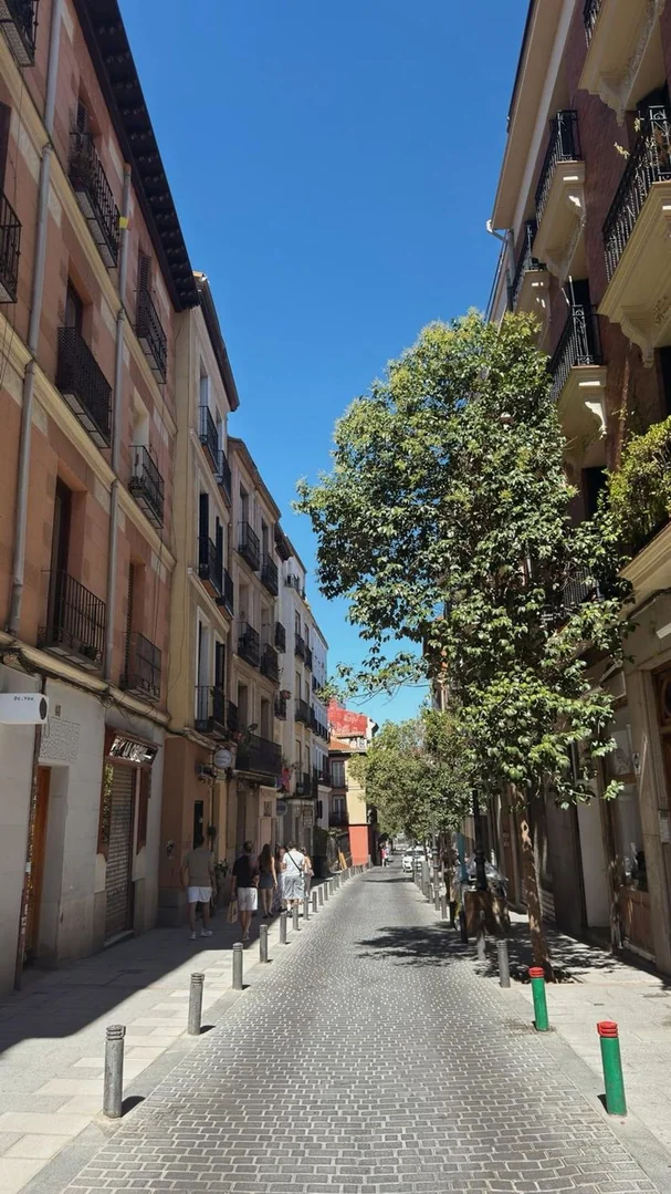 Piso en Calle de Pelayo, 52, Chueca-Justicia - Foto 34