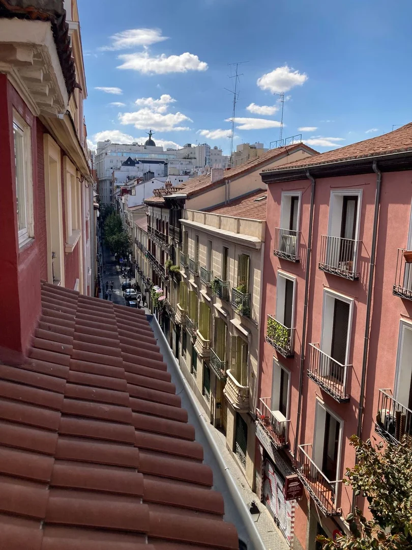 Piso en Barrio Malasaña-Universidad - Foto 1