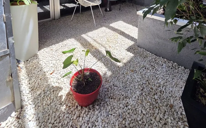 Piso en Sant Gervasi - La Bonanova, Sant Gervasi - La Bonanova - Foto 22