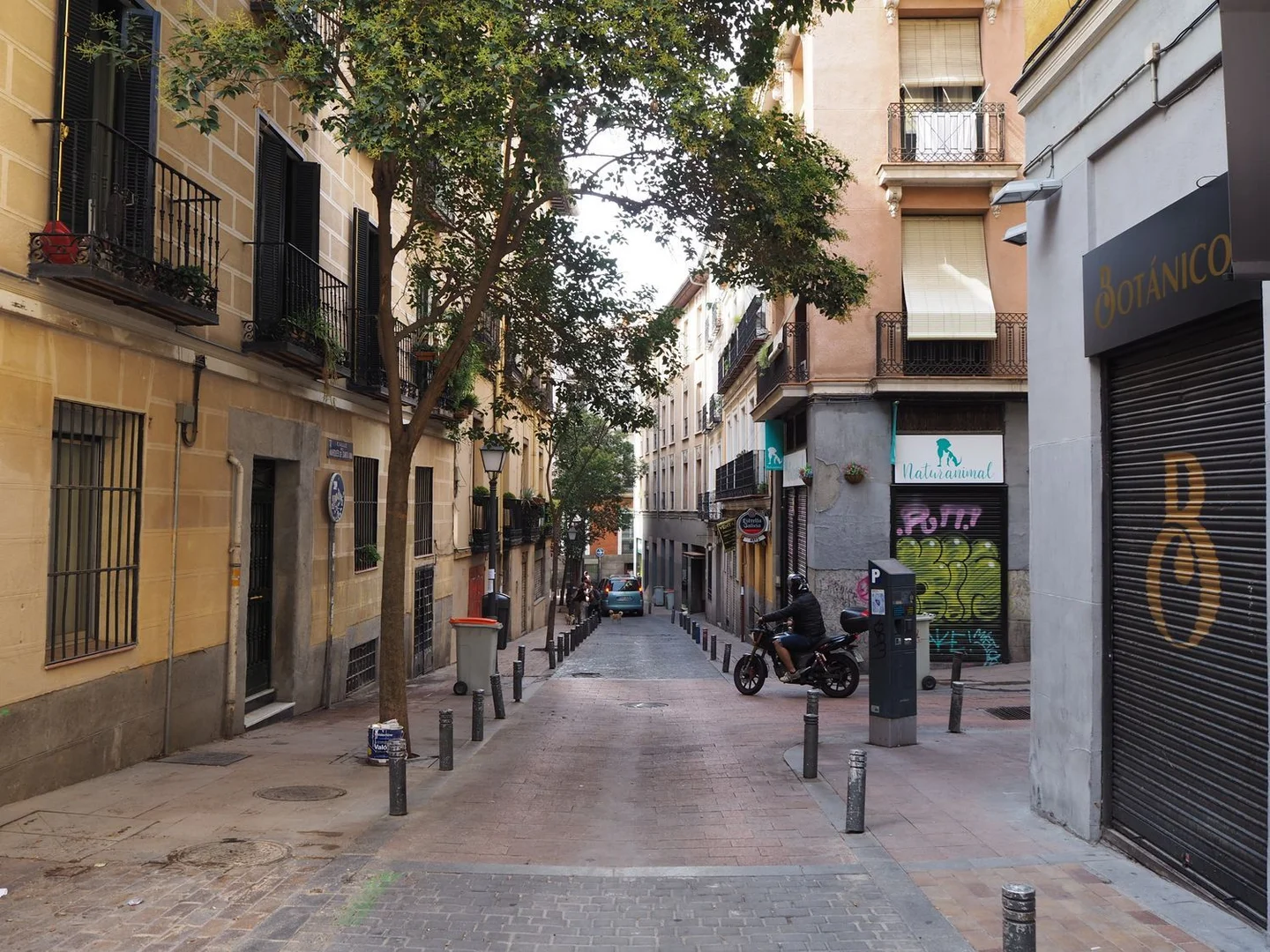 Ático en calle del Marqués de Santa Ana, 10 - Foto 17