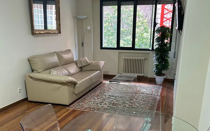 Piso en Calle de Diego de León, 12, Castellana - Foto 27