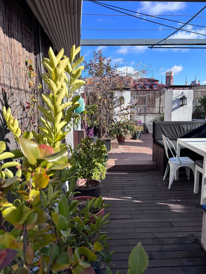 Ático en calle del Conde de Miranda, 1 - Foto 10