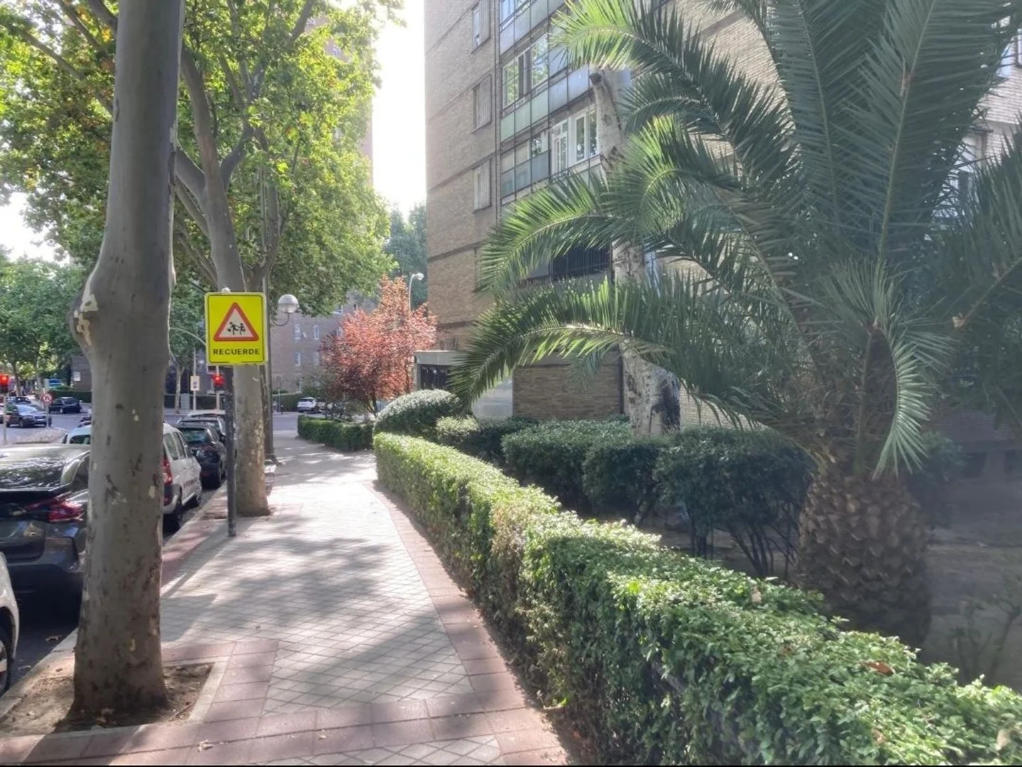 Ático en Calle de los Astros, 14, Estrella - Foto 12