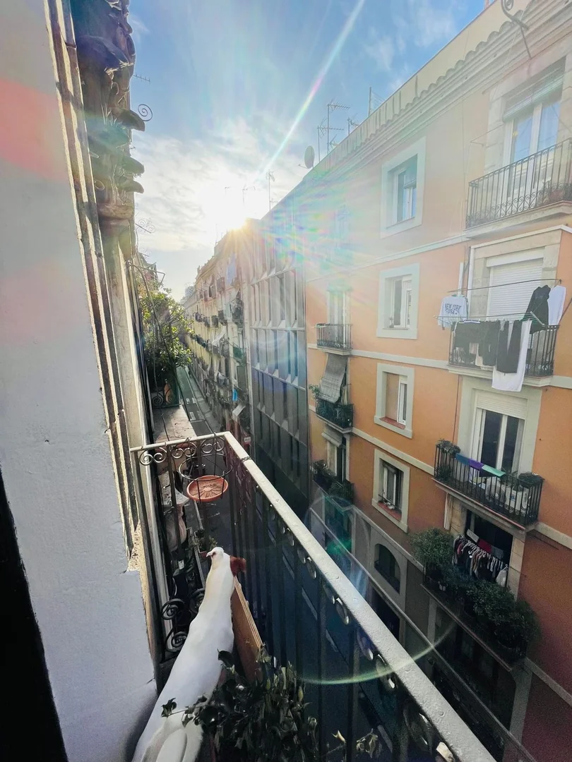 Estudio en Calle de Valldonzella, 37, El Raval - Foto 6