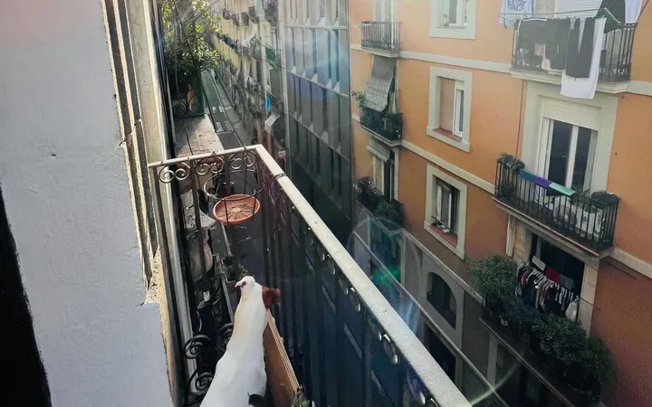 Estudio en Calle de Valldonzella, 37, El Raval - Foto 6