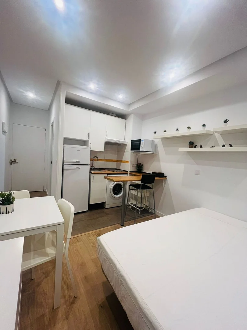 Estudio en Calle de Lagasca - Foto 16