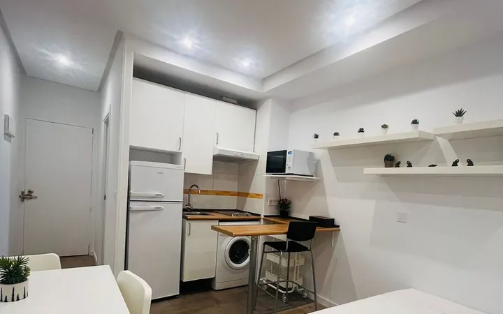 Estudio en Calle de Lagasca - Foto 16