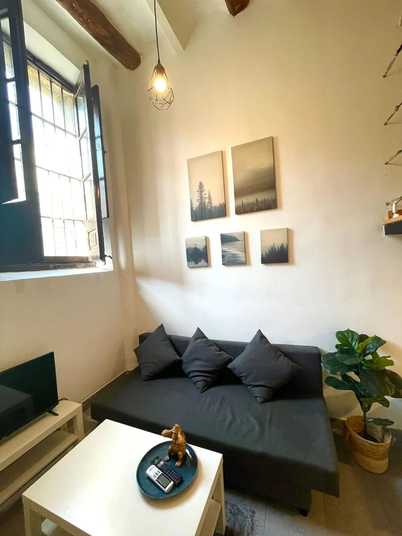 Estudio en Rambla del Raval, 14, El Raval - Foto 4