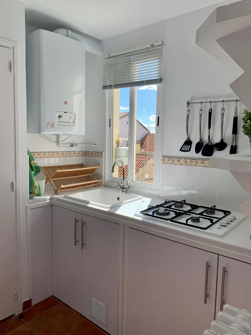 Ático en Barrio Lavapiés-Embajadores - Foto 12