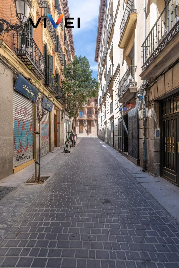 Piso en Calle del Infante, Huertas-Cortes - Foto 46