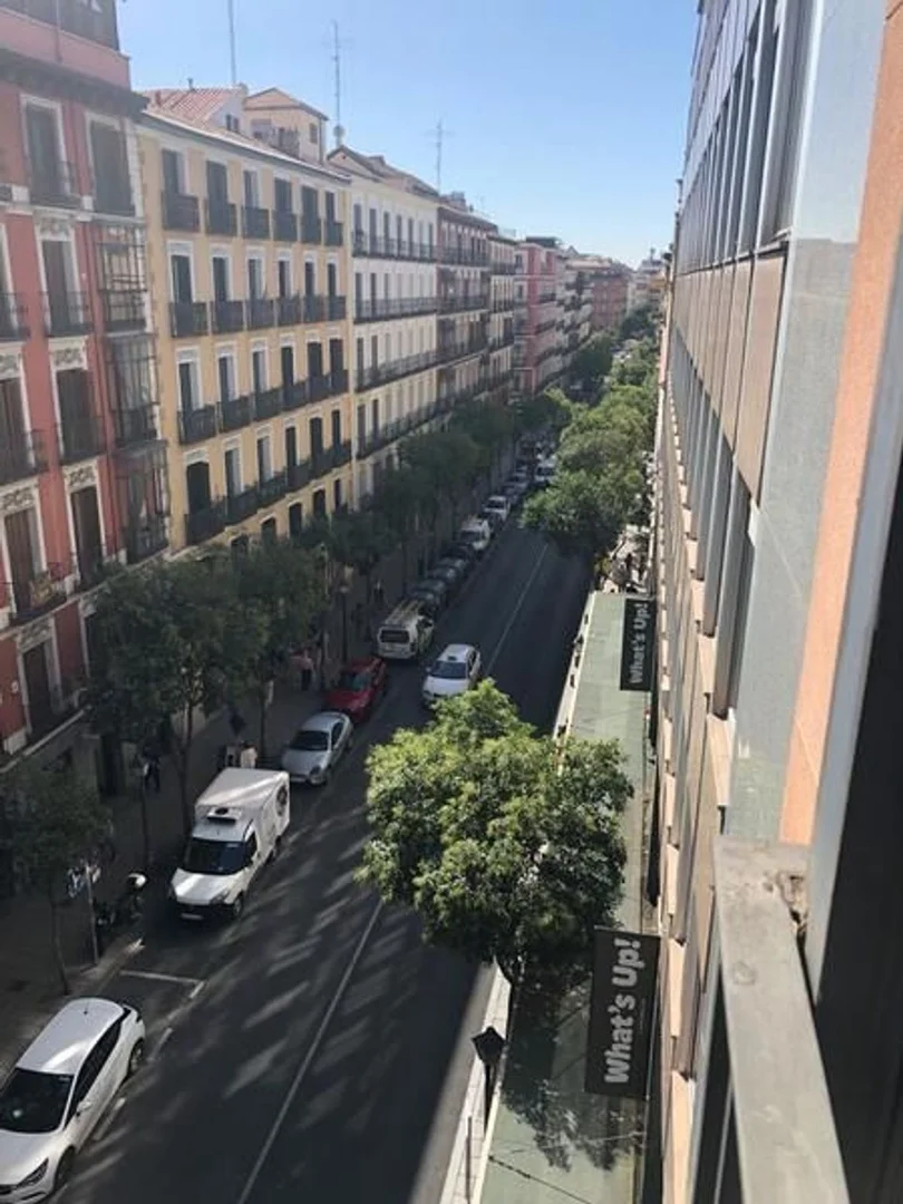 Piso en Calle de Fuencarral, Malasaña-Universidad - Foto 17