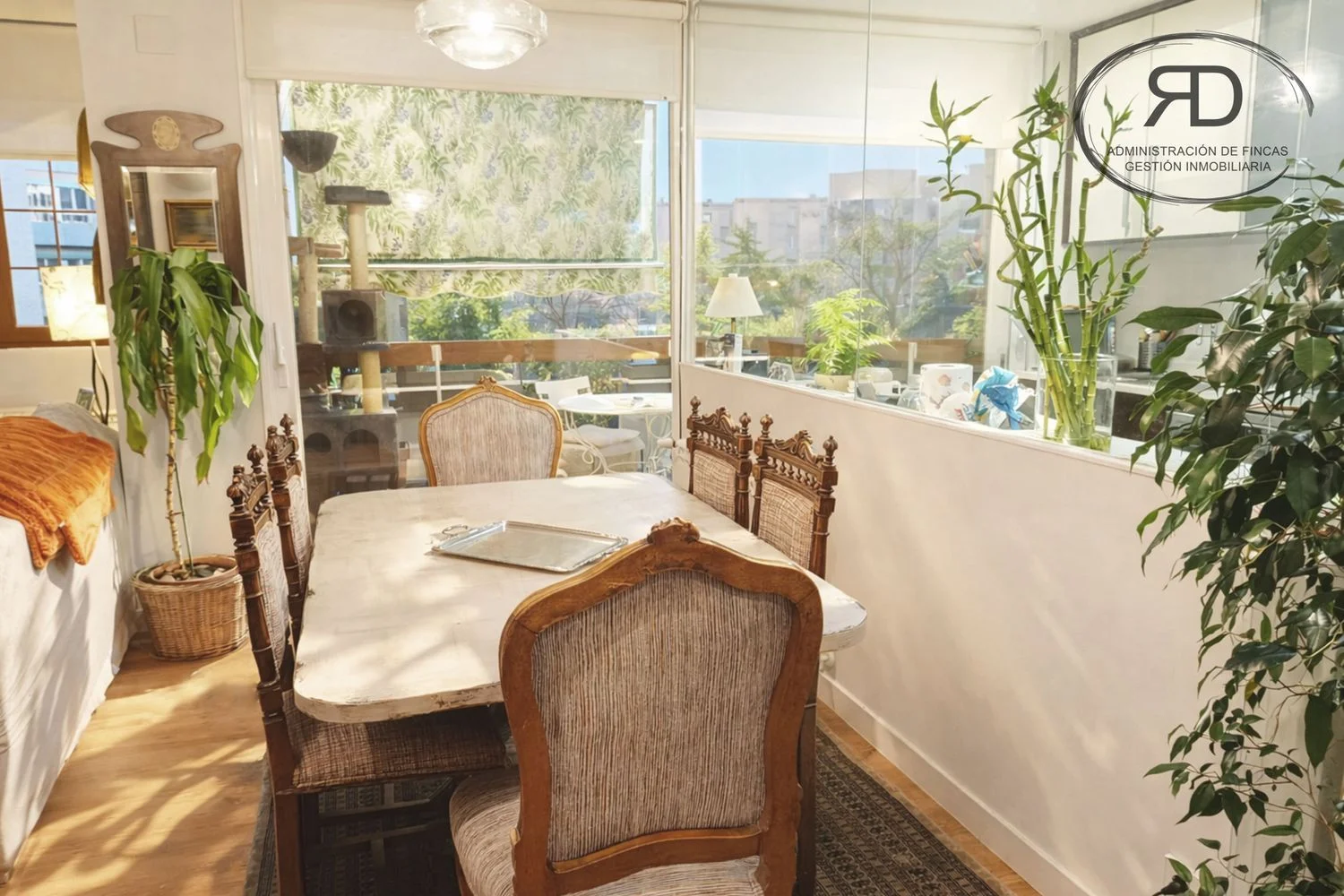 Piso en Barrio Apóstol Santiago - Foto 6