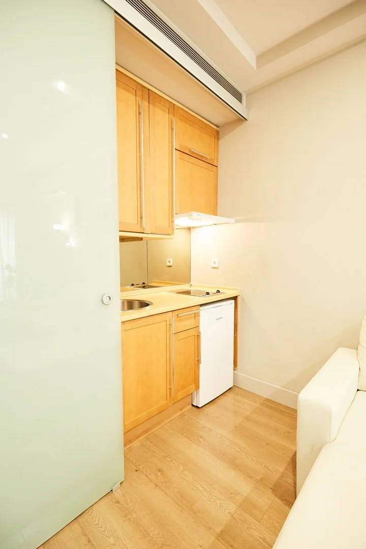 Estudio en Calle de Don Ramón de la Cruz, 62 3ºb, Lista - Foto 6