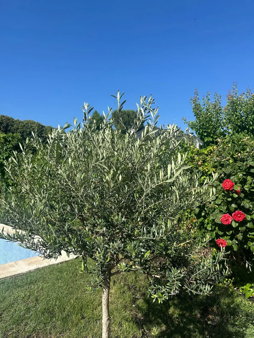 Chalet pareado en Conde Orgaz-Piovera - Foto 31