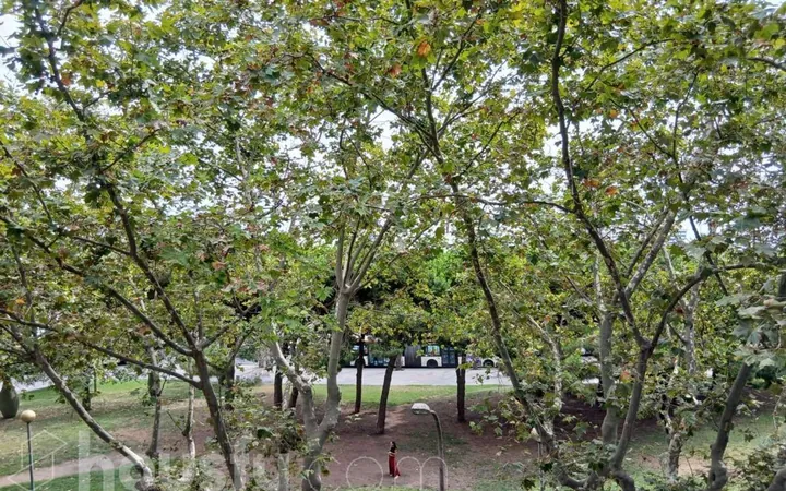 Piso en Calle de Carrera, El Poble Sec - Parc de Montjuïc - Foto 27