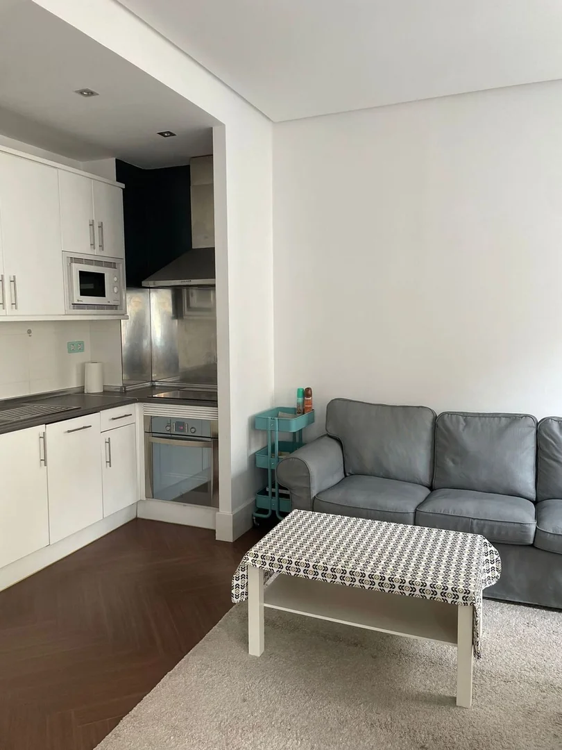 Estudio en Paseo del Pintor Rosales, 44, Argüelles - Foto 4