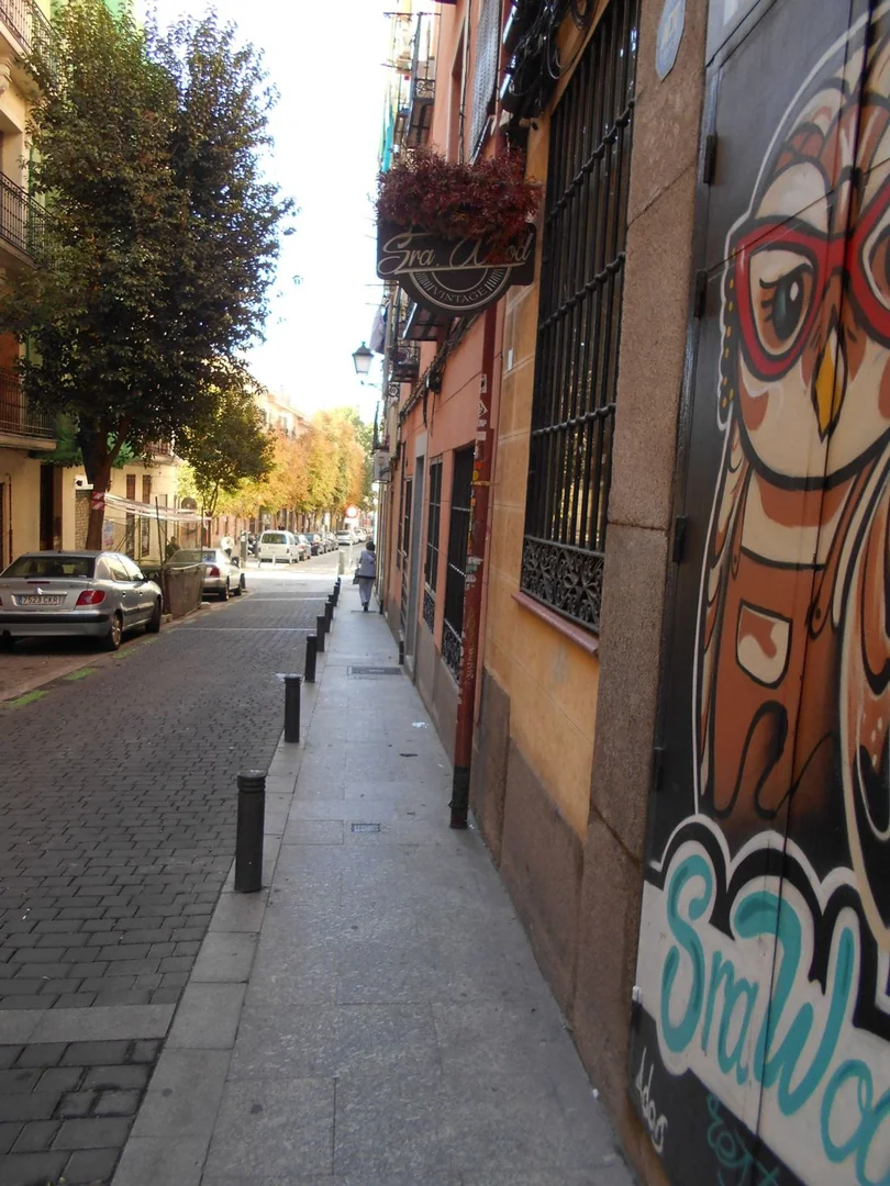 Piso en Calle de Mira el Sol, 11, Lavapiés-Embajadores - Foto 21