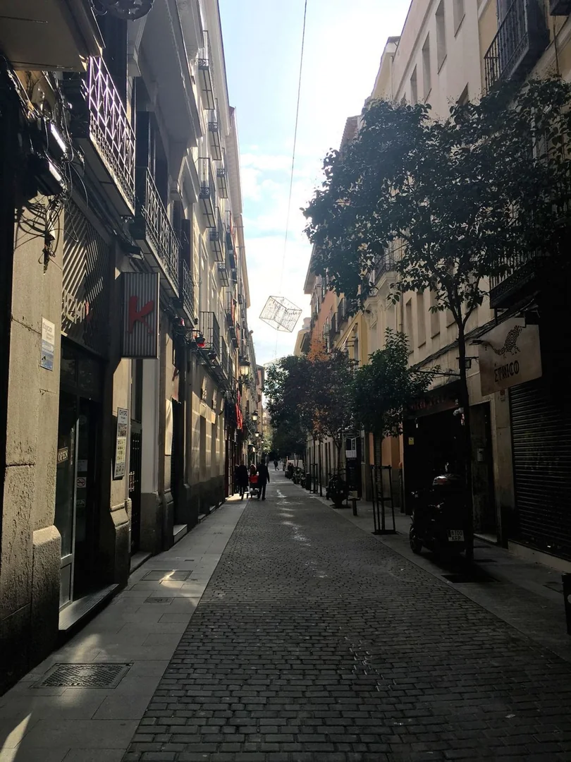 Piso en Calle de Echegaray, 9, Huertas-Cortes - Foto 21