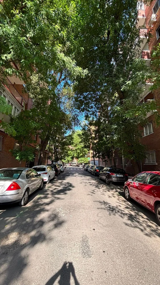 Piso en Calle de Linneo, 32 - Foto 4