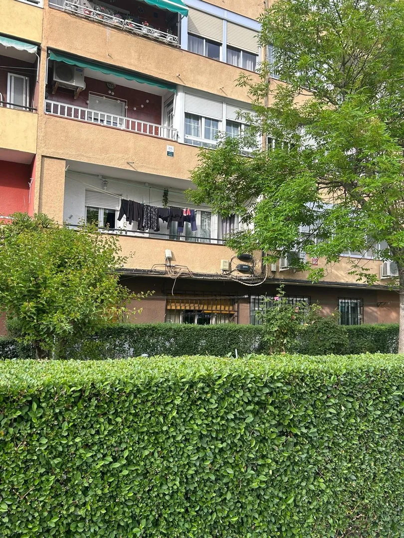 Piso en Calle de Fray José Cerdeiriña, 52 - Foto 19