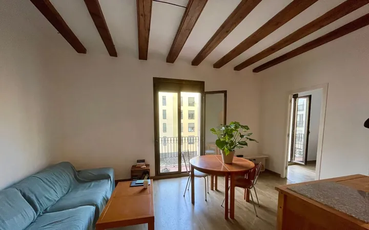 Piso en Calle de la Riereta, 16, El Raval - Foto 1