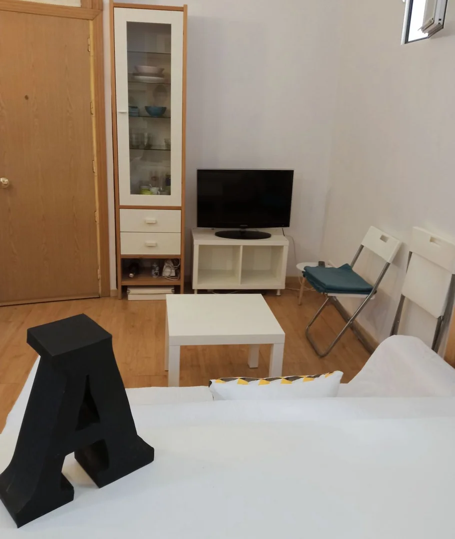 Estudio en Calle Feijoo, 11, Trafalgar - Foto 4