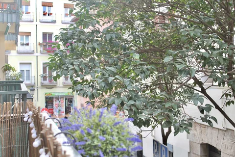 Piso en calle de Lavapiés, 29 - Foto 10