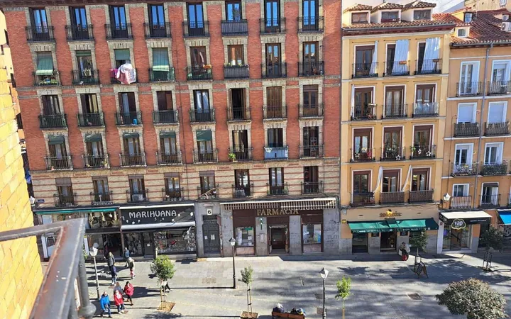 Piso en Plaza de Cascorro, 17, Lavapiés-Embajadores - Foto 14