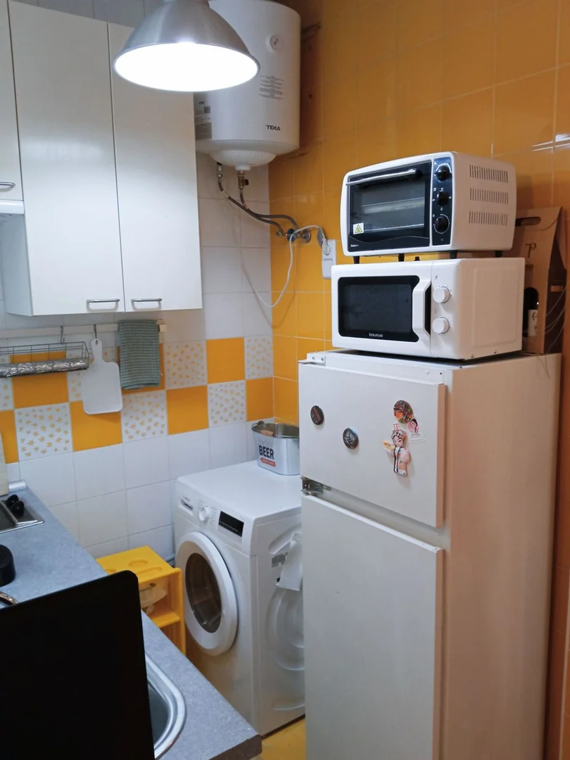 Estudio en Calle Feijoo, 11, Trafalgar - Foto 10