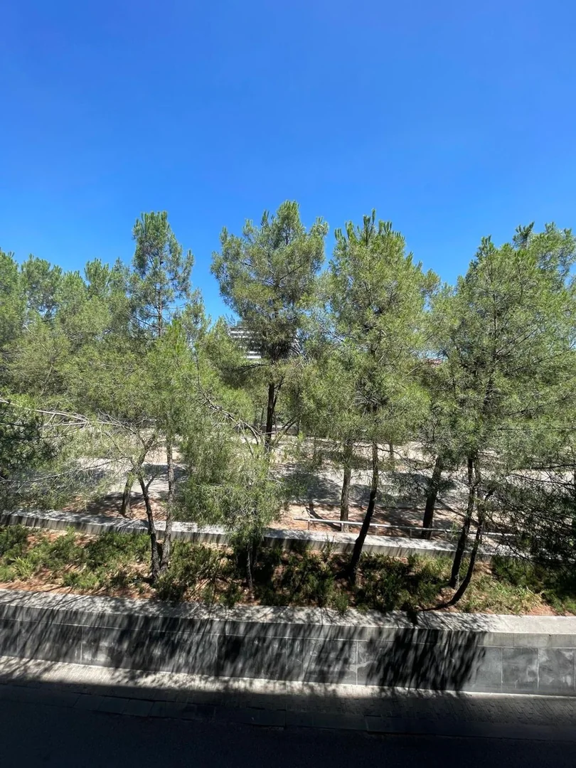 Piso en Avenida del Manzanares, 98, San Isidro - Foto 3