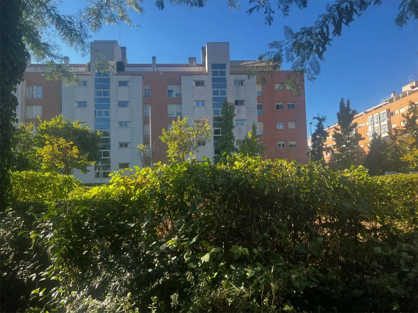 Piso en  Paseo de la Alameda de Osuna 50