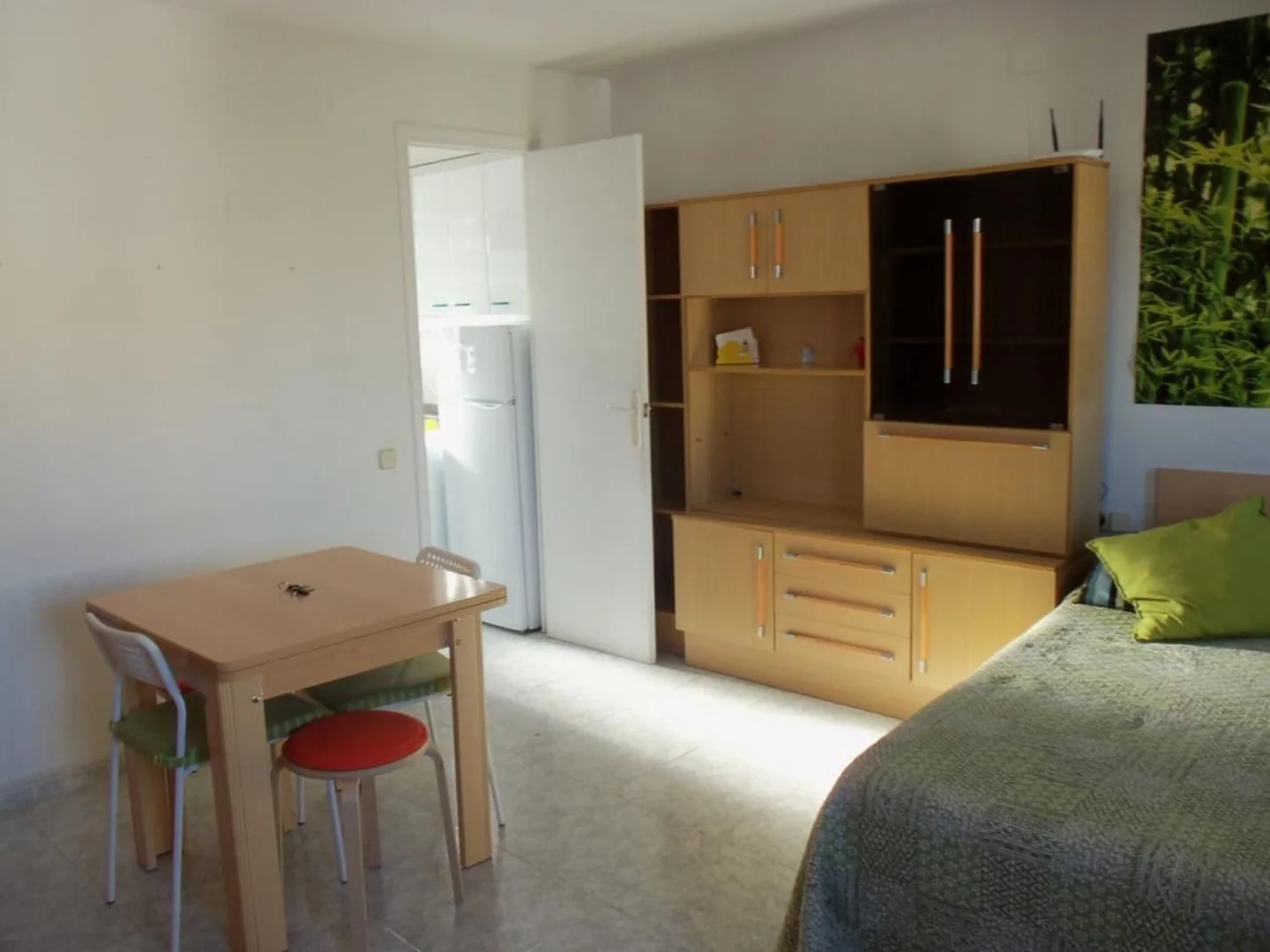 Estudio en Calle d'Estruc, El Gòtic - Foto 4