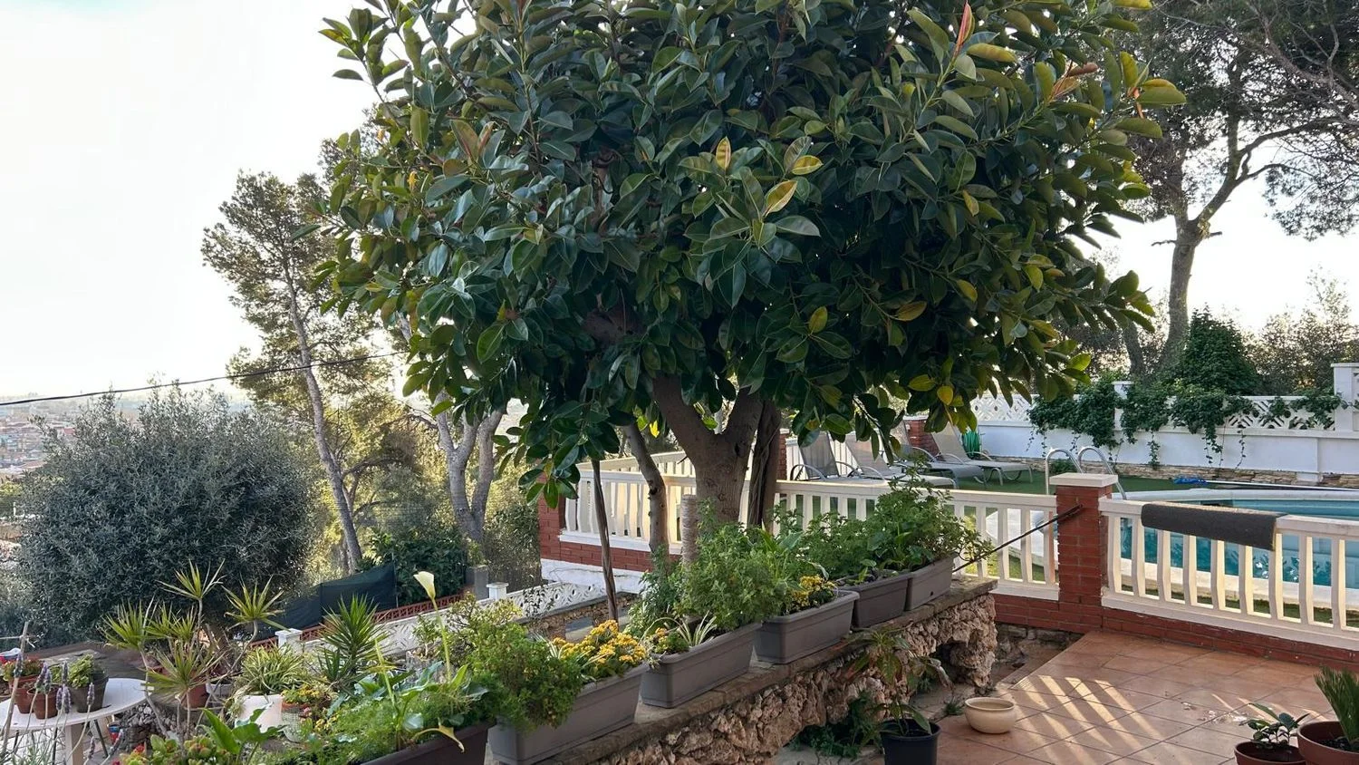 Casa independiente en Montmar - Foto 4