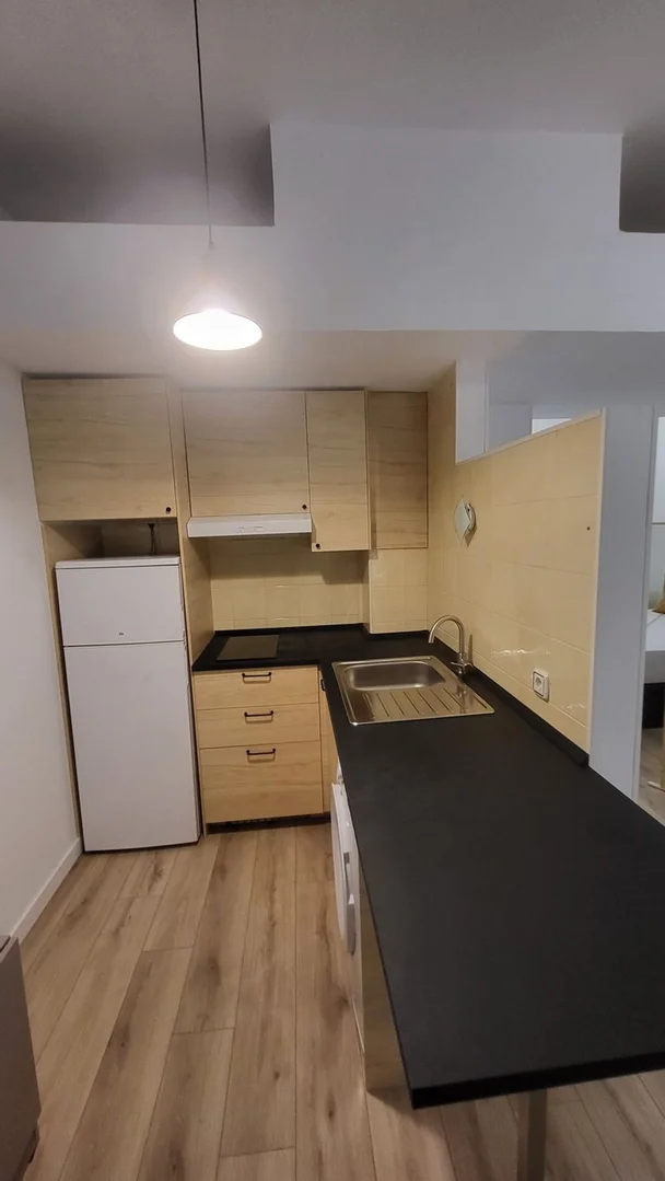 Estudio en Calle Cebreros, 64 - Foto 4