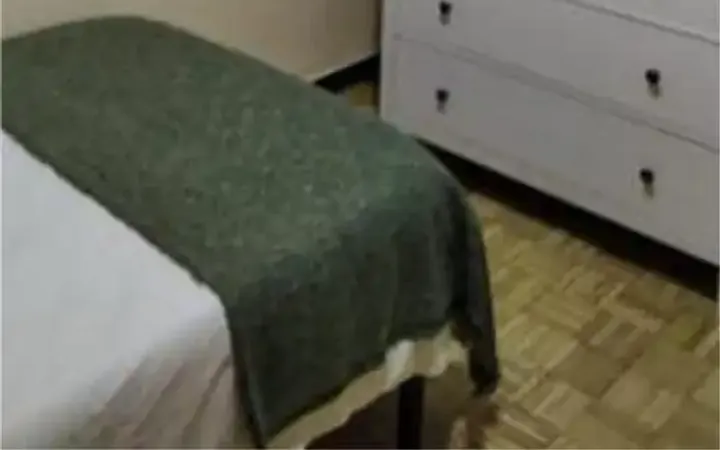 Piso en Barrio de Salamanca - Foto 4