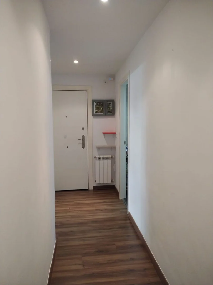 Piso en Calle de Rodas, 18, Lavapiés-Embajadores - Foto 7