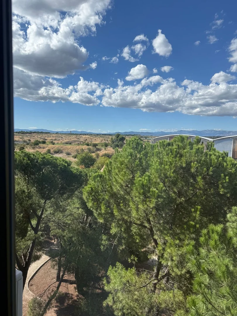 Piso en Calle de la Costa Brava, 34, Mirasierra - Foto 14