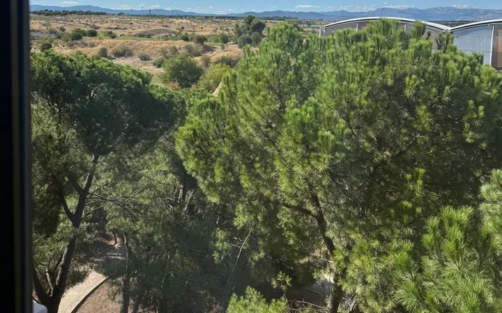 Piso en Calle de la Costa Brava, 34, Mirasierra - Foto 14