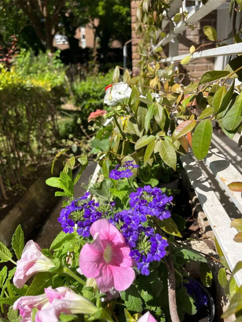 Piso en Barrio Alameda de Osuna - Foto 34