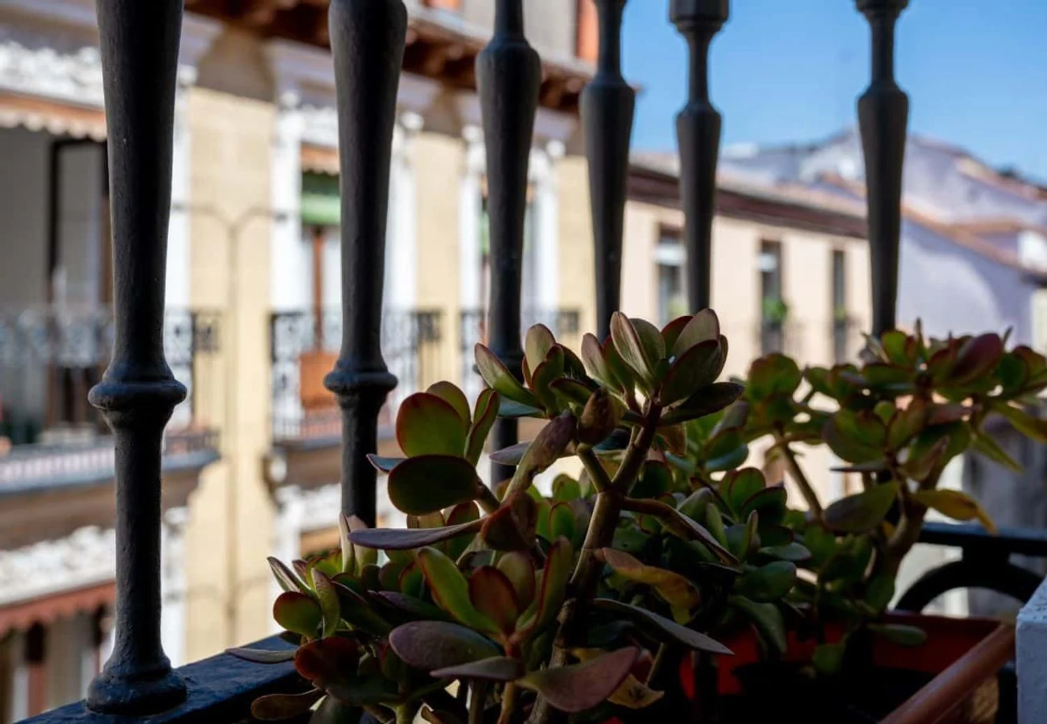Piso en Calle de la Madera, 28, Malasaña-Universidad - Foto 23