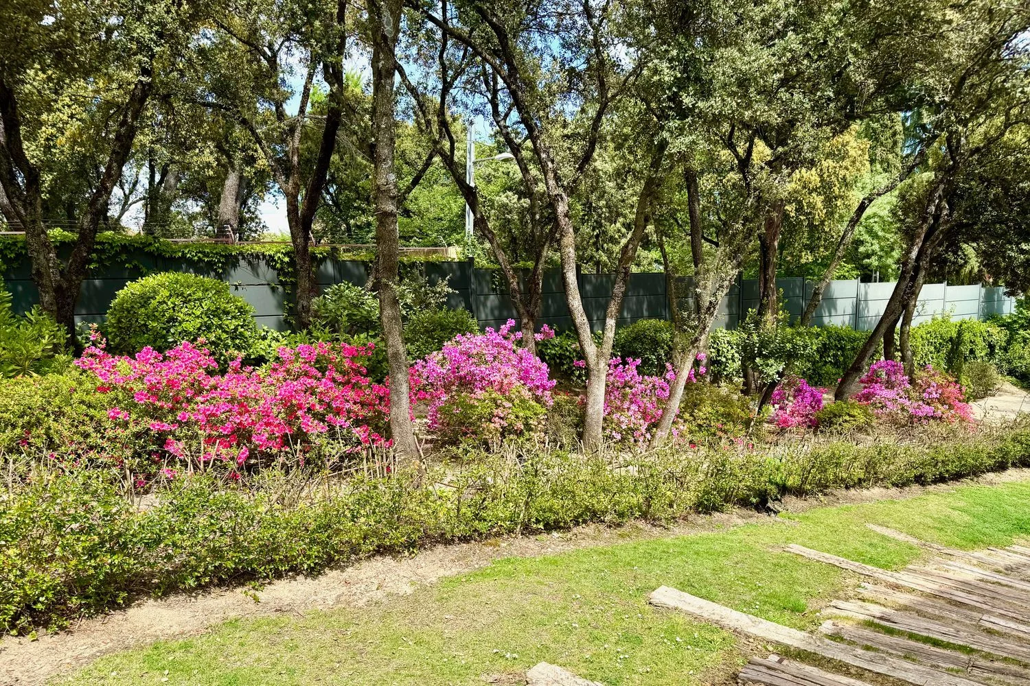 Casa independiente - Foto 22