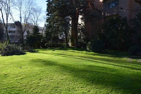 Estudio en avenida de Pío XII, 92 - Foto 11