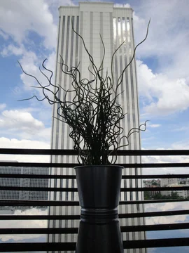 Piso en calle de Orense, 18 - Foto 21