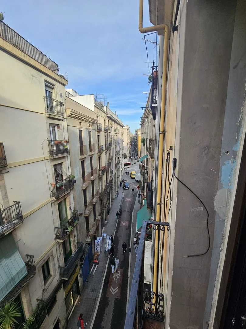 Piso en calle de l'Hospital, 135 - Foto 2