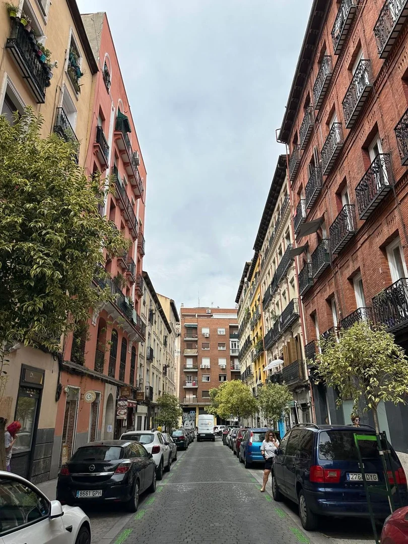 Piso en calle del Doctor Fourquet, 28 - Foto 18