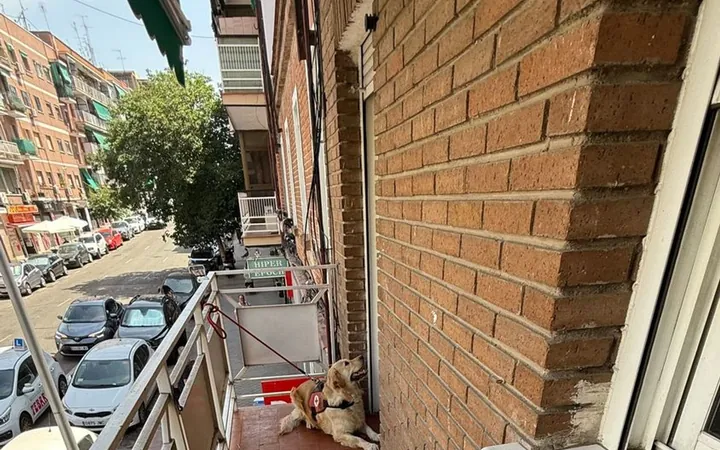 Piso en Calle de Vital Aza, 42, Pueblo Nuevo - Foto 7