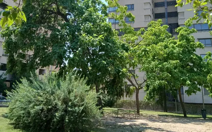 Piso en  Calle de Antonio López Aguado 4 - Foto 2