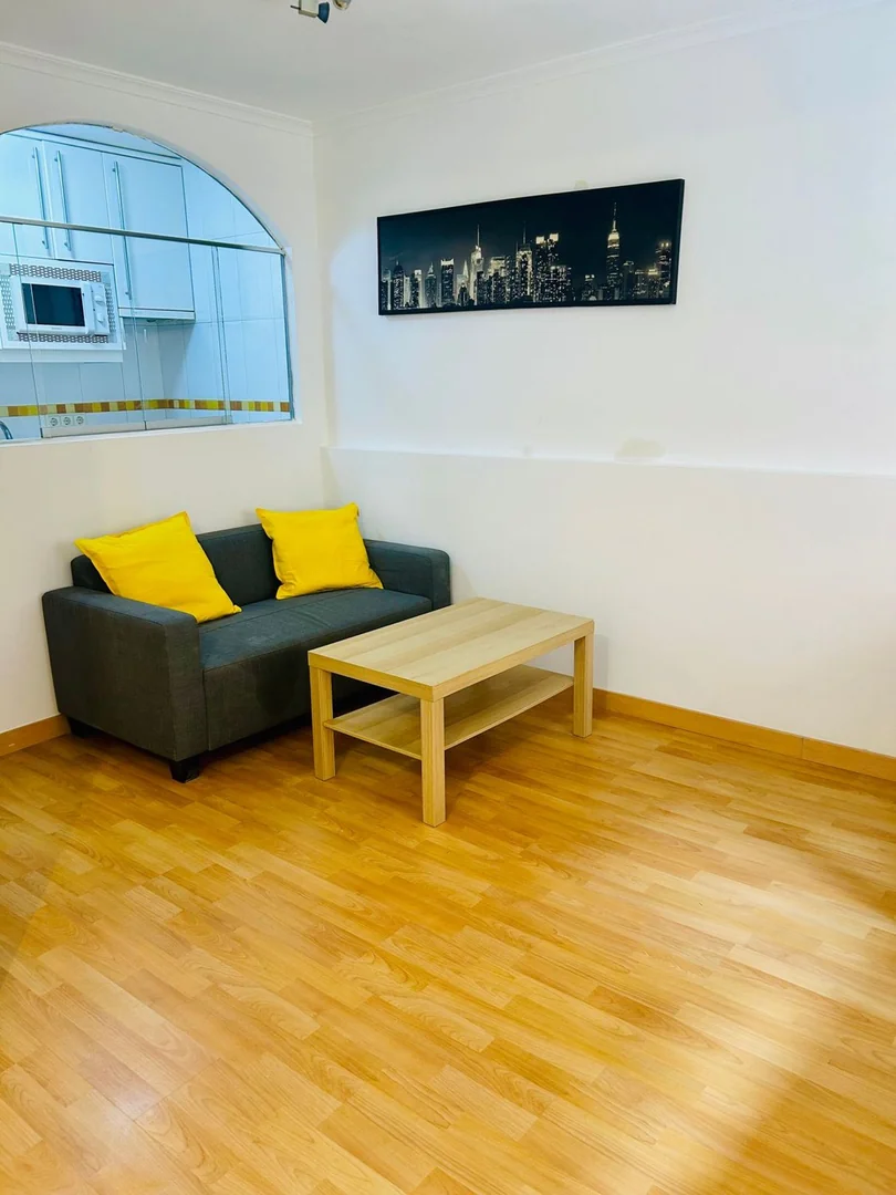 Estudio en Calle de Mariano Serrano, 14, Valdeacederas - Foto 6