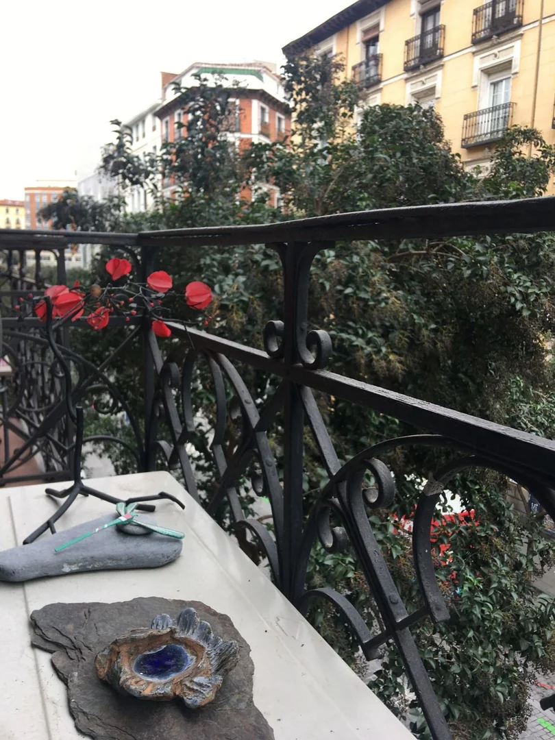 Piso en Calle de Valencia, 20, Lavapiés-Embajadores - Foto 2